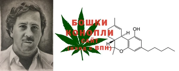не бодяженный Заводоуковск