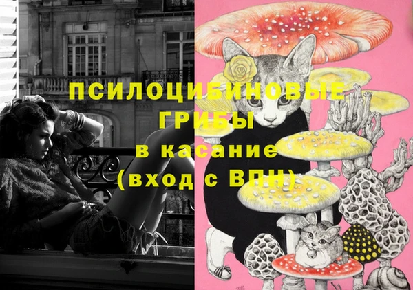 не бодяженный Заводоуковск
