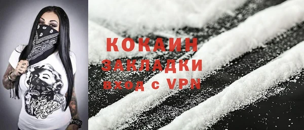 не бодяженный Заводоуковск