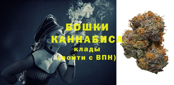 не бодяженный Заводоуковск
