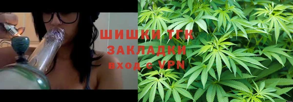 не бодяженный Заводоуковск